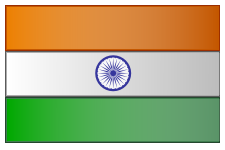 International Cricket Team 2